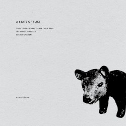 A State of Flux