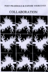 Collaboration