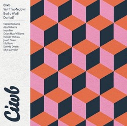 Wyt Ti’n Meddwl Bod o Wedi Darfod?