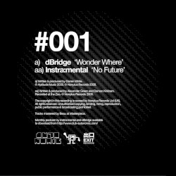 Wonder Where / No Future