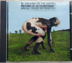 Pictures of an Exhibitionist