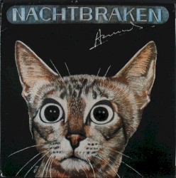 Nachtbraken