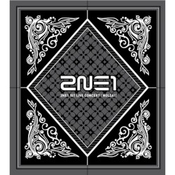 2NE1 1st LIVE CONCERT [NOLZA!]