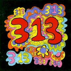 313