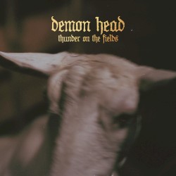 Thunder on the Fields