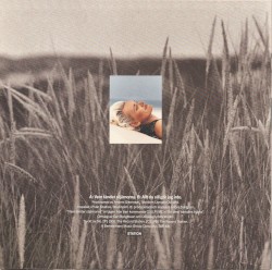 Vem tänder stjärnorna