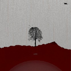 About.you