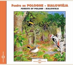Forêts de Pologne ‐ Białowieża / Forests of Poland ‐ Białowieża