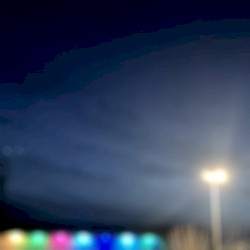 Can Polypores Still Ambient?