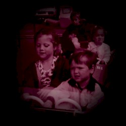 Poules, Renards, Vipères