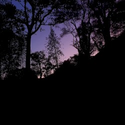 one year has passed (look at all we’ve been through)