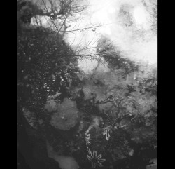 Go Then, Fearless One!