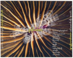 ခွာညိုသက်ထား