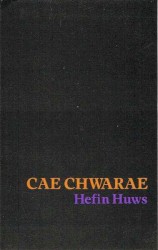 Cae Chwarae