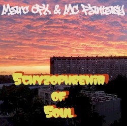 Schyzophrenia of Soul