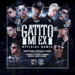 El gatito de mi ex (remix)