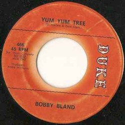 I'm Sorry / Yum Yum Tree