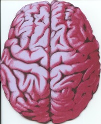 Language of Flames and Sound