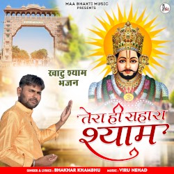 Tera Hi Sahara Shyam
