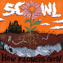 How Flowers Grow