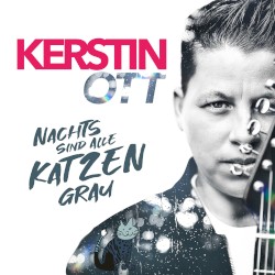 Nachts sind alle Katzen grau