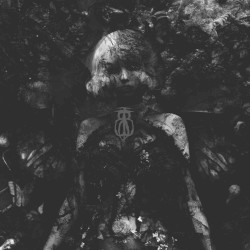 When I Am Lost in the Dark, the Fairies Come Out to Meet Me