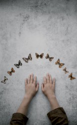 Now I Do Not Know Whether I Am a Man Dreaming I Was a Butterfly, or Whether I Am Now a Butterfly, Dreaming I Am a Man