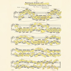 The Threat of Standardised Architecture