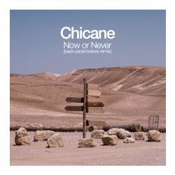 Now or Never (Back Pedal Brakes remix)