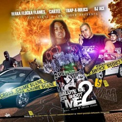 Salute Me or Shoot Me 2.5