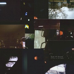 Success With House Plants