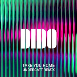 Take You Home (Undercatt remix)