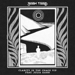 Clarity In The Chaos (VIP)