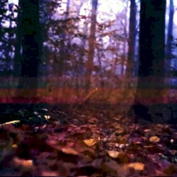 Into The Blue "Glitch version"