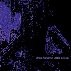 Dark Shadows After School