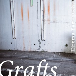 Grafts