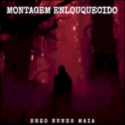 MONTAGEM ENLOUQUECIDO