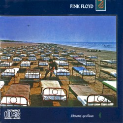 A Momentary Lapse of Reason