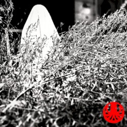 The Ghost of Every Chance