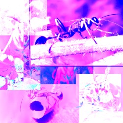 You Should Know The Drill By Now…