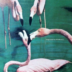 songs in the key of earth vol. 2