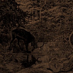 Of Stone, Wind, & Pillor