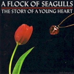 The Story of a Young Heart