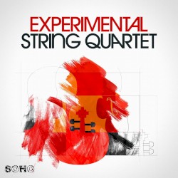 Experimental String Quartet