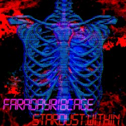 STARDUST:WITHIN