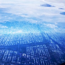 The Radical Act of Feeling Alive (alternates)