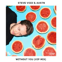 Without You (VIP mix)