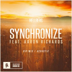 Synchronize (VIP mix / acoustic)