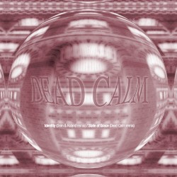 Identity (Dom & Roland remix) / State of Grace (remix)
