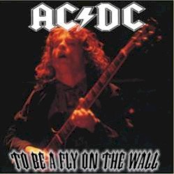 To Be a Fly on the Wall